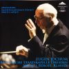 Download track Brahms: Symphony No. 4 In E Minor, Op. 98 - 1. Allegro Non Troppo