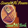 Download track Sourate Al Anam, Pt. 2 (Quran)