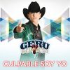 Download track Culpable Soy Yo