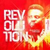 Download track Revolution (Demarkus Lewis Remix)