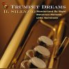 Download track Il Silenzio