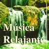 Download track Musica De Flauta Con Sonidos De La Naturaleza