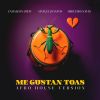 Download track Me Gustan Toas (Afro House Radio)