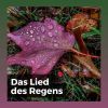 Download track Beruhigende Klavierklänge Mit Regen