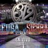 Download track El Borrego (En Vivo)