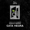 Download track Gata Negra