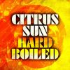 Download track Hard Boiled