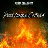 Download track Son Del Sabor / Son Del Ocoxuchitl / Carnaval Putleco / Cuando Toco