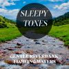 Download track Gentle Riverbank Flowing Waters, Pt. 7