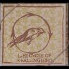 Download track Falling Bird