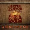 Download track A Song Like Me