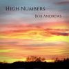 Download track High Numbers