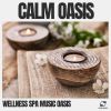 Download track Massage Music