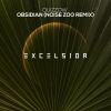 Download track Obsidian (Noise Zoo Radio Mix)