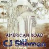 Download track American Road