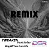 Download track King Of Your Own Life (Axel Baldi)