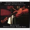 Download track 5. Sonate BWV 1027 G-Dur - Allegro Moderato