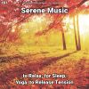 Download track Serene Music, Pt. 40