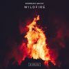 Download track Wildfire (Extended Mix)