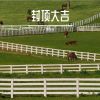 Download track 吃泡面的仪式感