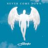 Download track Never Come Down