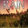 Download track Rain - Tribute To The Script