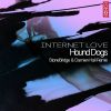 Download track Internet Love (Stonebridge & Damien Hall Remix Radio Edit)