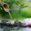 Download track Steady Bamboo Water Fountain Flowing Ambience, Pt. 15