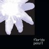 Download track Florido Pensil [06] Calceolaria Herbeohybrida