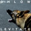 Download track Levitate