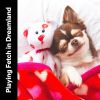 Download track Relaxing Dog Music, Pt. 17