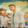 Download track Shehzada