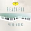 Download track Ravel: Prélude En La Mineur, M. 65