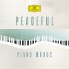 Download track Mozart: Piano Sonata No. 14 In C Minor, K. 457-II. Adagio