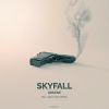 Download track Skyfall (Nico Pusch Radio Edit)