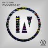 Download track Incognita (Original Mix)