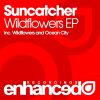 Download track Wildflowers (Original Mix)