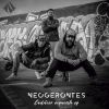 Download track Reencuentro (Han Vuelto Los Muchachos Del Barrio)