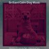 Download track Energetic Moods For Cute Dogs