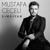 Download track Vurulmuşum (Azerbaycanca Versiyon)