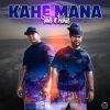 Download track Mana Flow