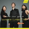 Download track Clarinet Trio In A Minor, Op. 114: III. Andantino Grazioso