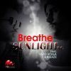 Download track Breathe (Marbrax Remix)