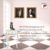 Download track Violin Concerto In D Major II. Adagio Cantabile