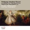 Download track Divertimento No. 11 In D Major, K. 251: V. Rondeau. Allegro Assai - Adagio - Allegro Assai'