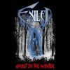 Download track Ghost In The Winter