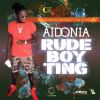 Download track Rude Boy Ting