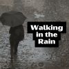 Download track Last Days Of Rain