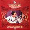 Download track Raga Gaui Manjari