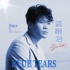 Download track 蓝眼泪 (伴奏)